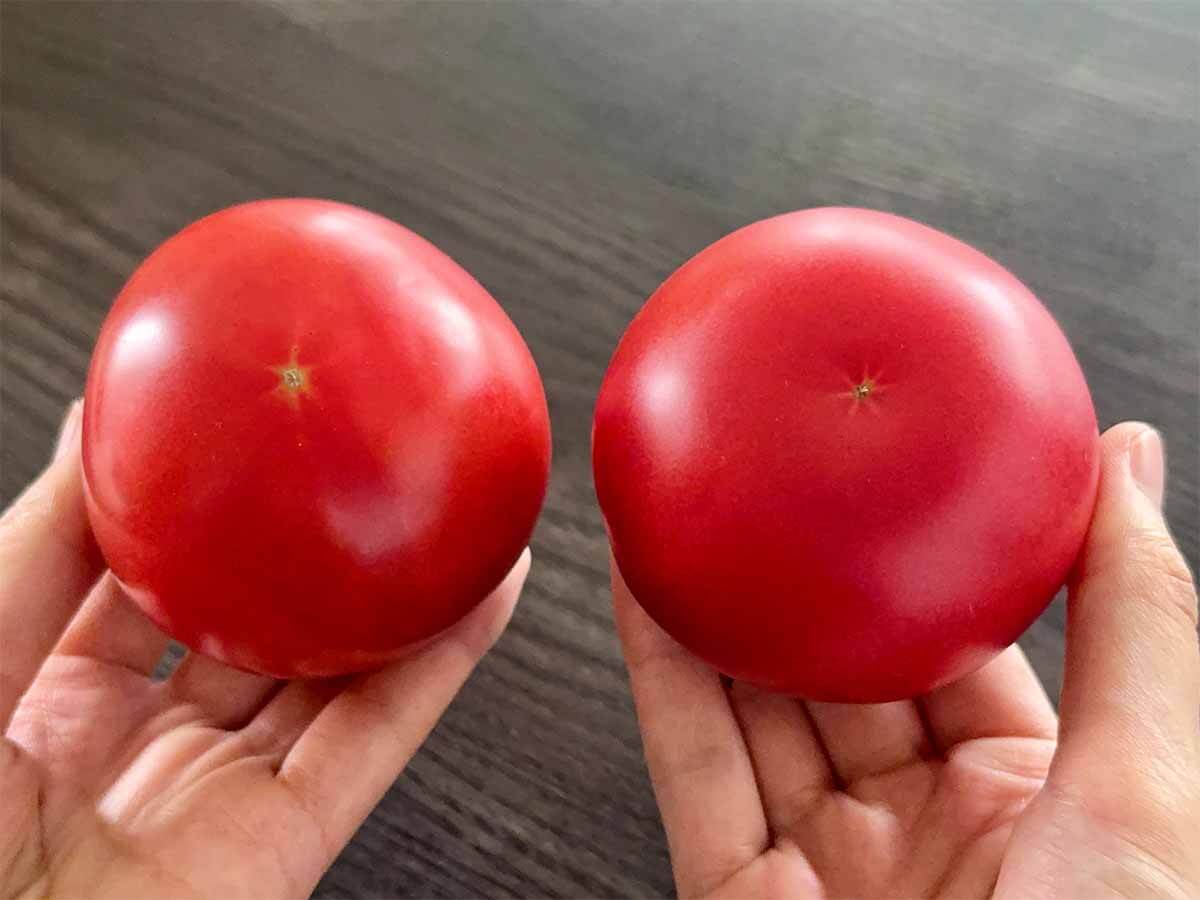 トマトの選び方のコツ