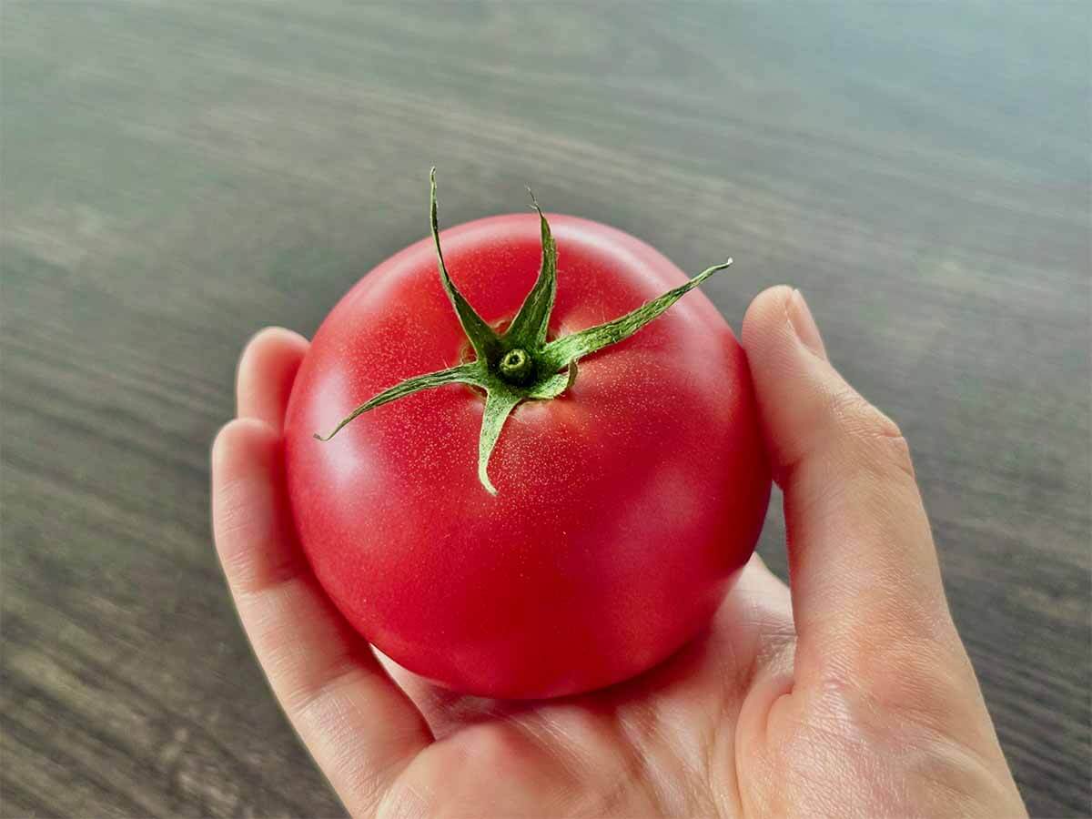 トマトの選び方のコツ