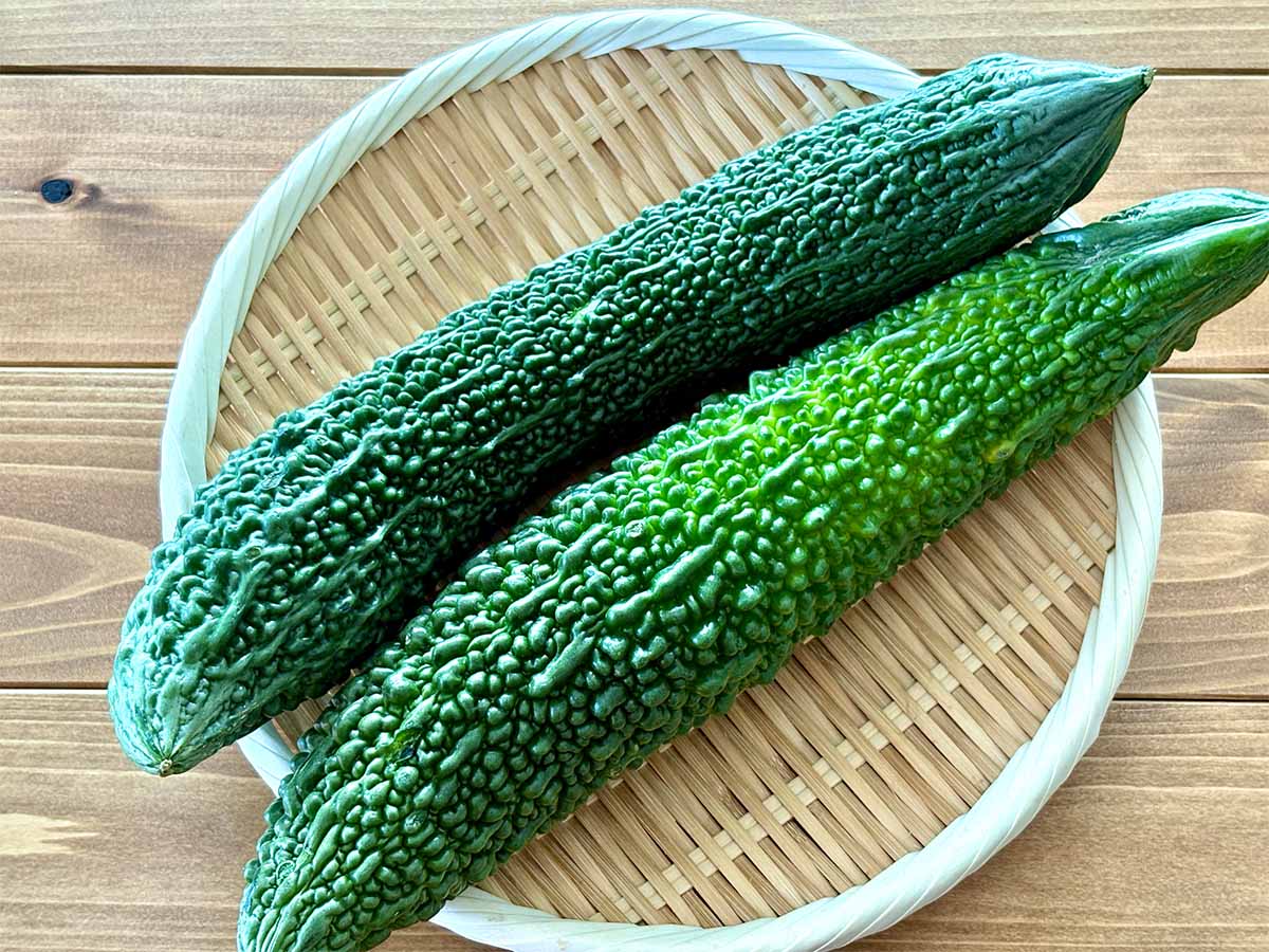 「え、ゴーヤの苦さって“重さ”で決まるの――！？」知らなきゃ損《プロの野菜見極め術》
