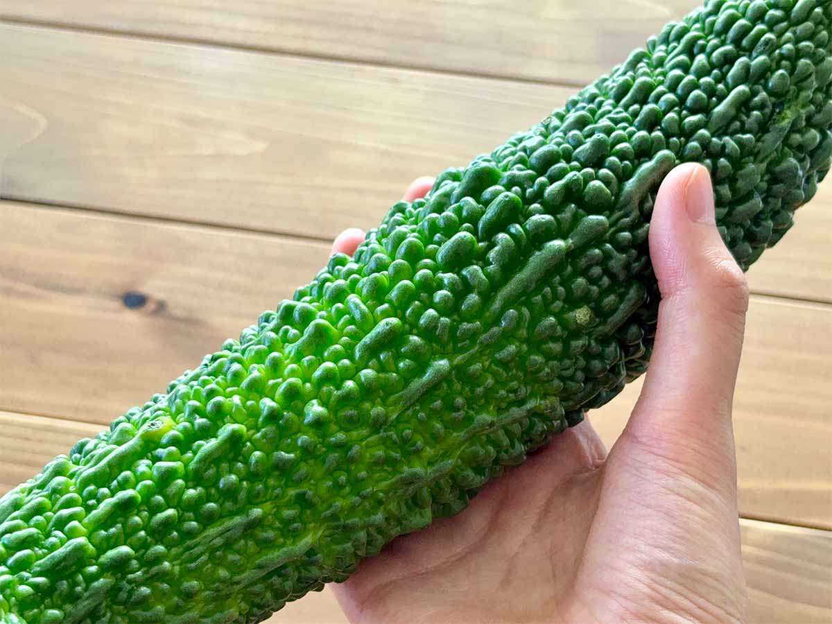 新鮮で美味しいゴーヤの選び方のコツ