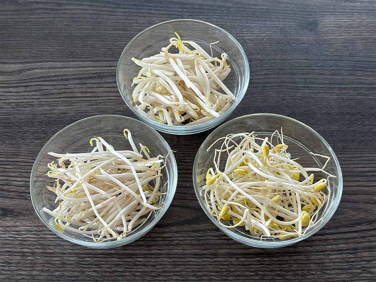 もやし３種類の違いと使い分けのコツ