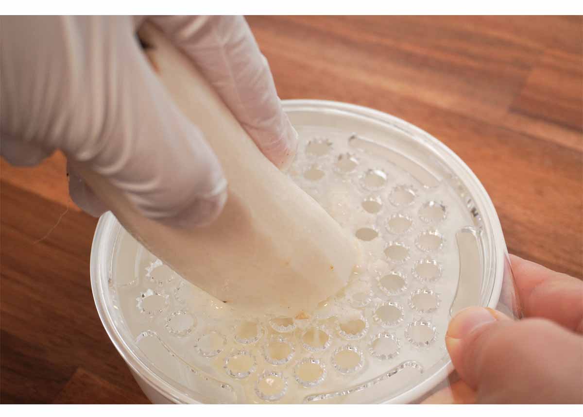 【メンズレシピ】長芋のフライパン焼き