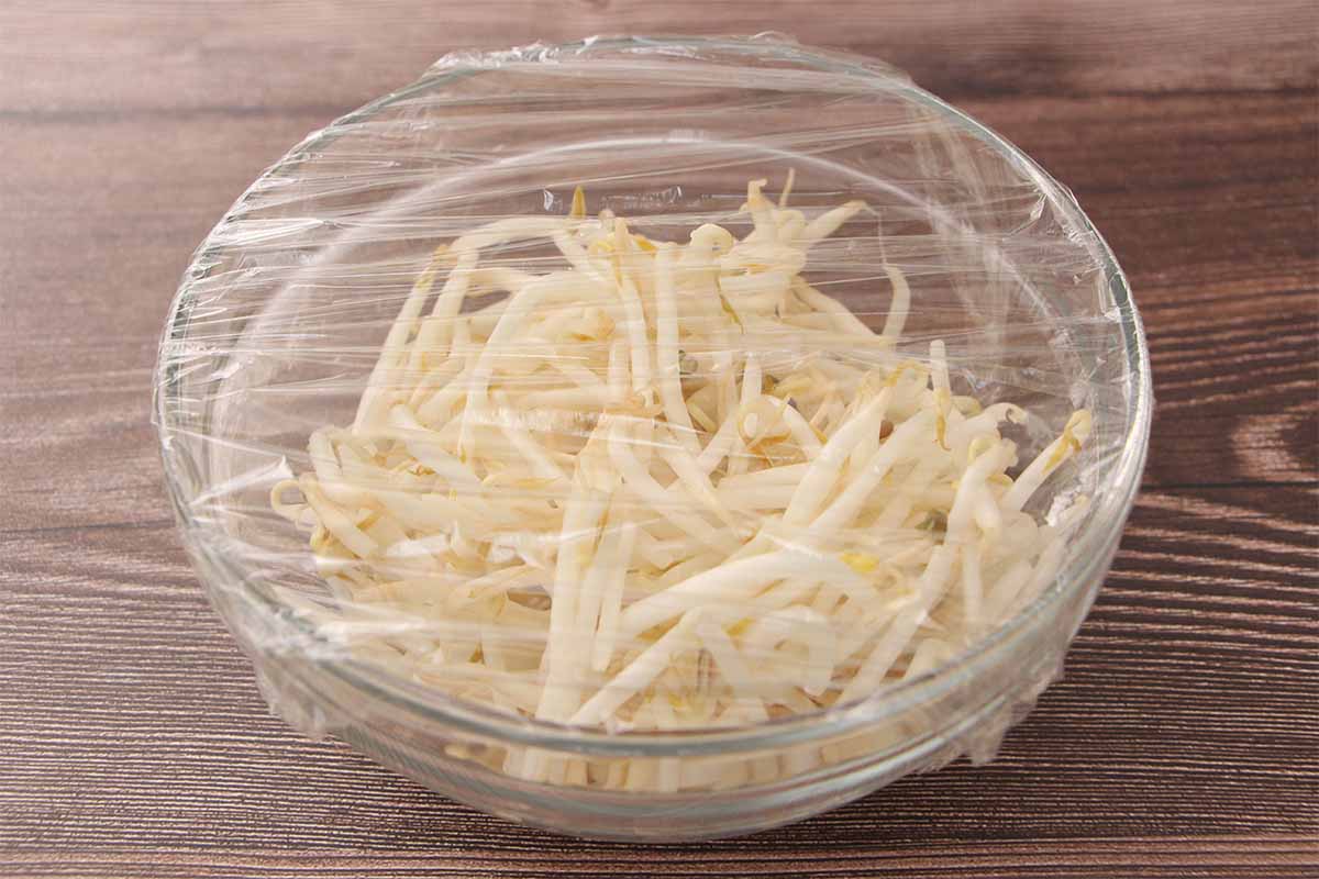 【メンズレシピ】旨辛もやしナムル