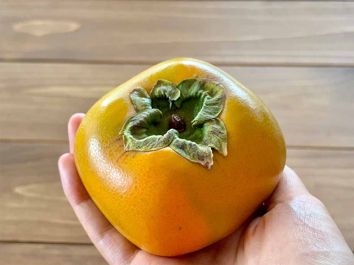 新鮮で美味しい柿の見分け方のコツ