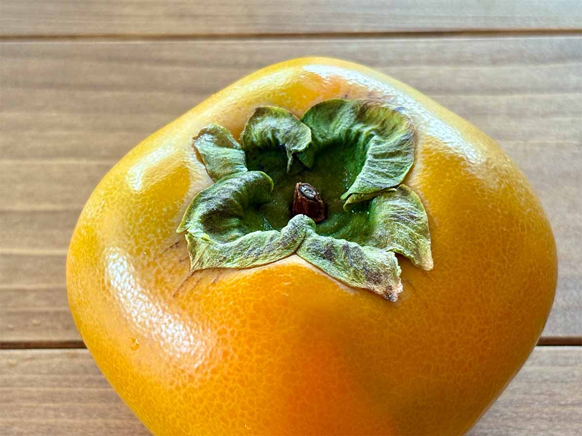 新鮮で美味しい柿の見分け方のコツ