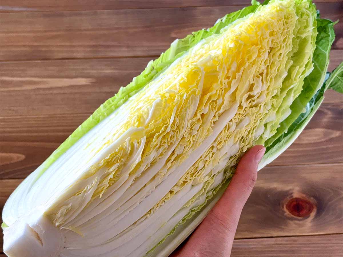新鮮で美味しい白菜の見分け方のコツ