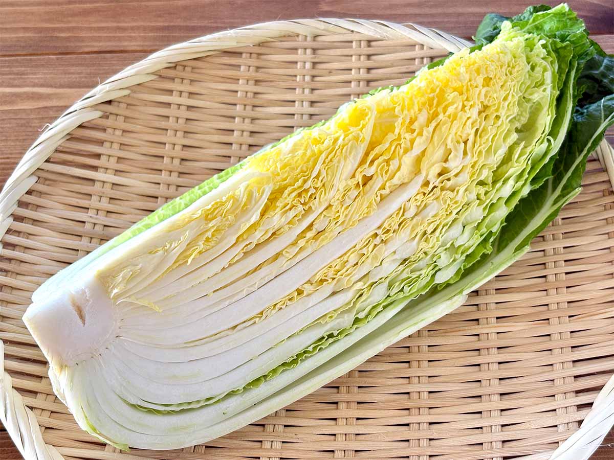 【専門家監修】スーパーで失敗しない!新鮮な「カット白菜」を見極める3つのチェック方法
