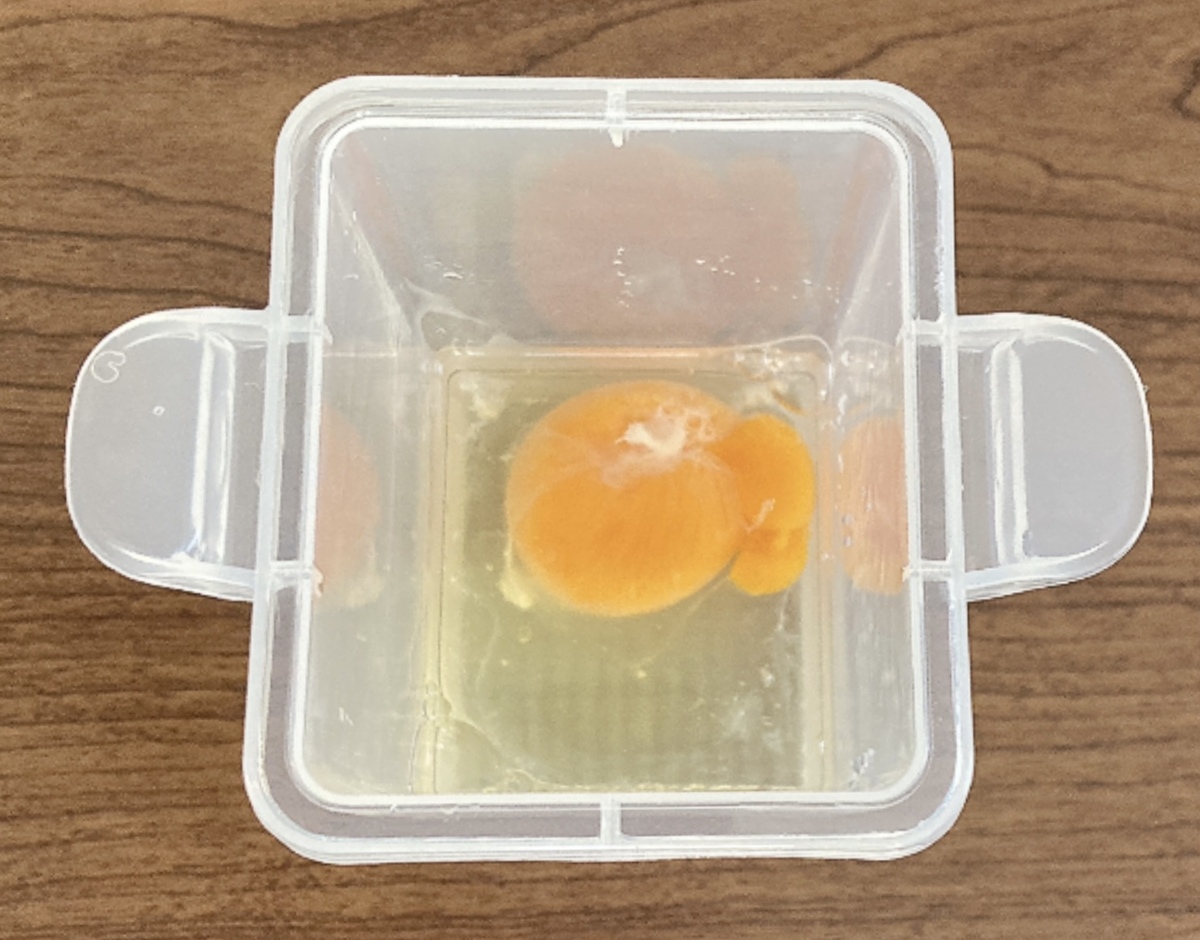 ダイソー「レンジで簡単だし巻きたまご」