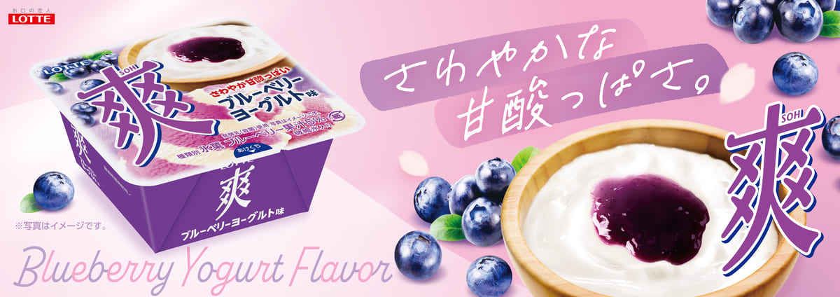 爽　ブルーベリーヨーグルト味