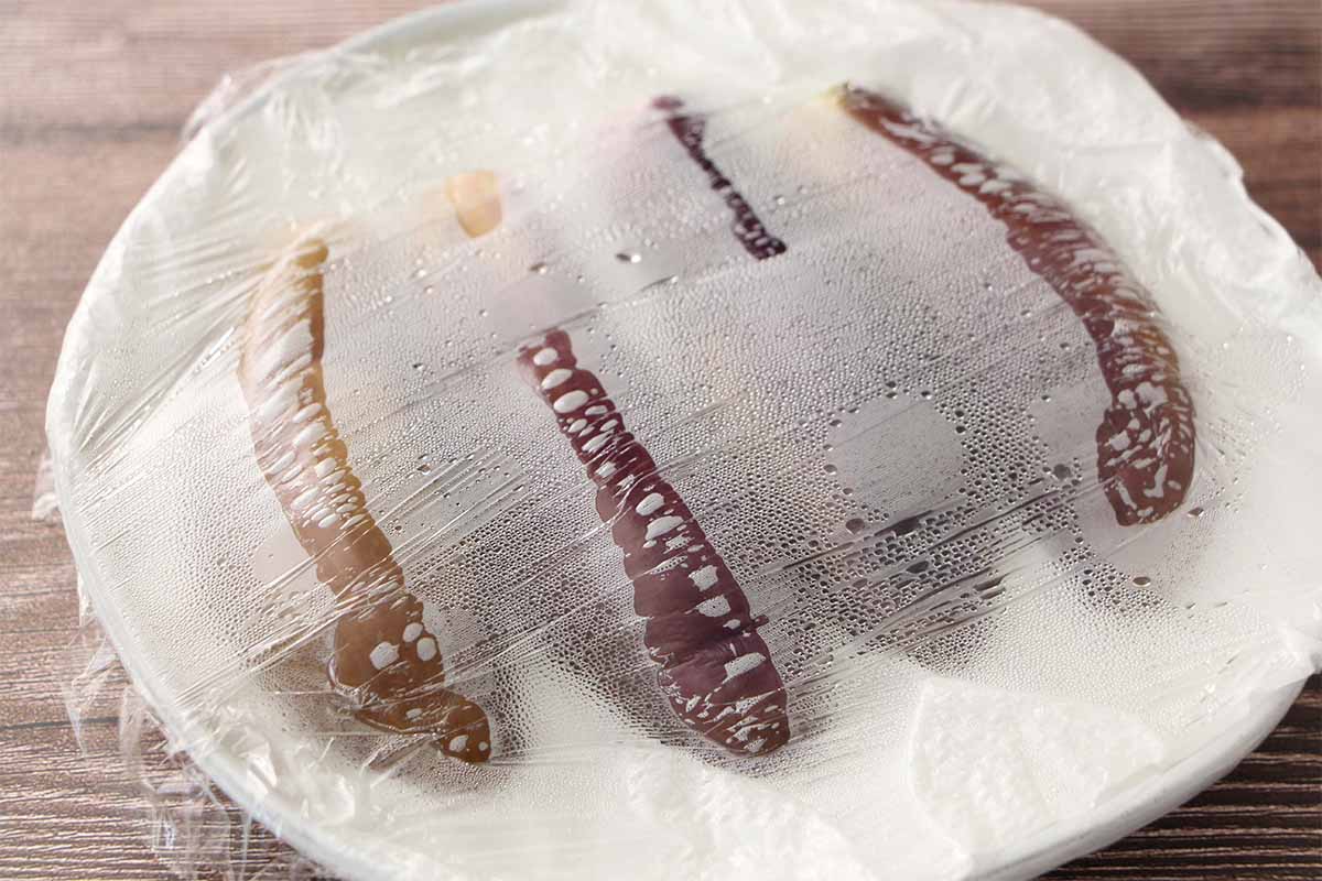 栗原はるみさん「冷やしなすのごまソース」