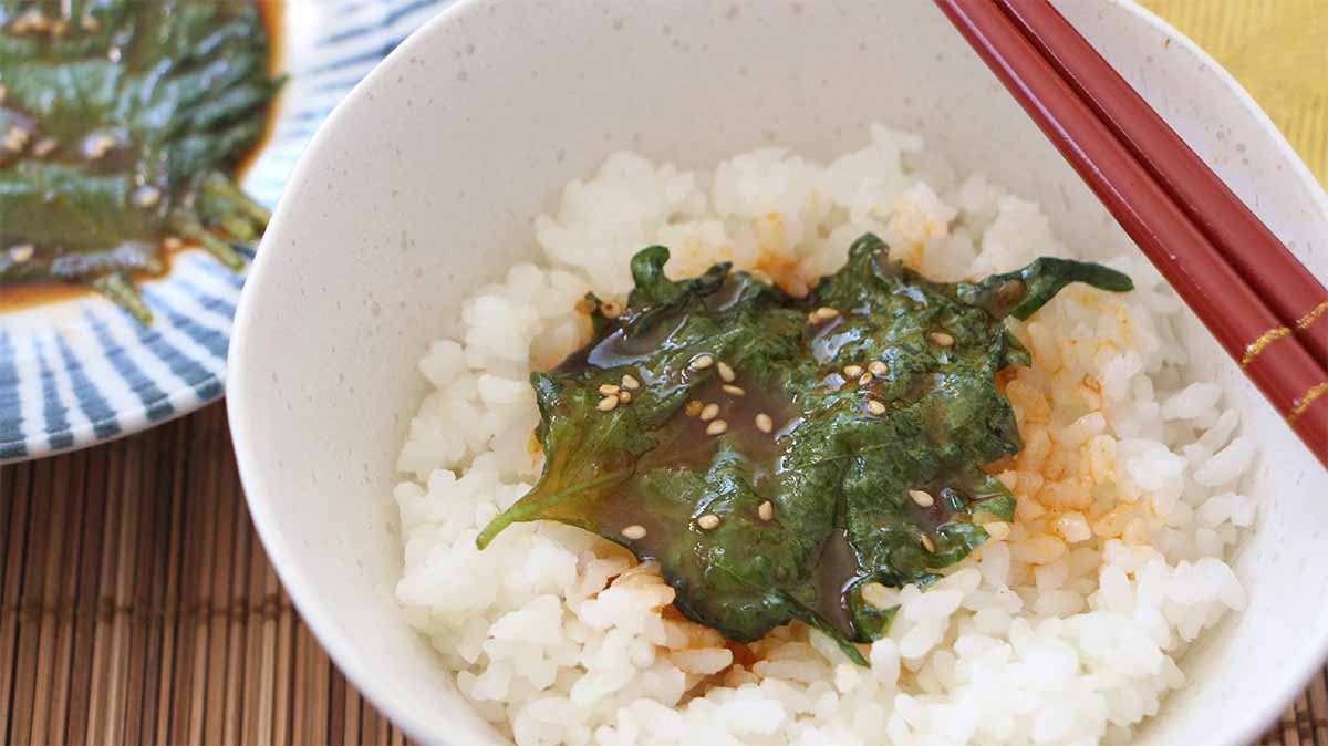 韓国風やみつき大葉漬け