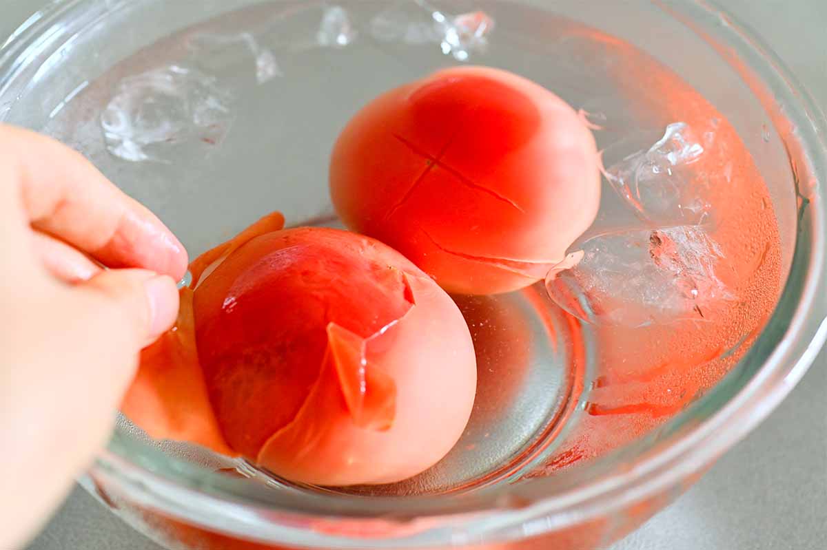 タサン志麻さん「トマトのシロップ煮」